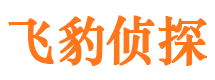 井冈山飞豹私家侦探公司